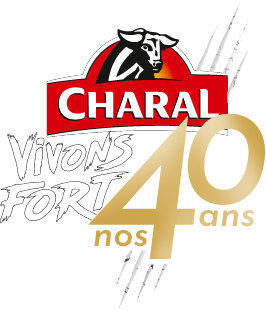 Jeu Charal Burger